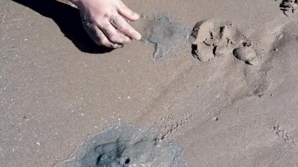Ręce Dzieci Bawiące Się Dziurami Piasku Plaży — Wideo stockowe