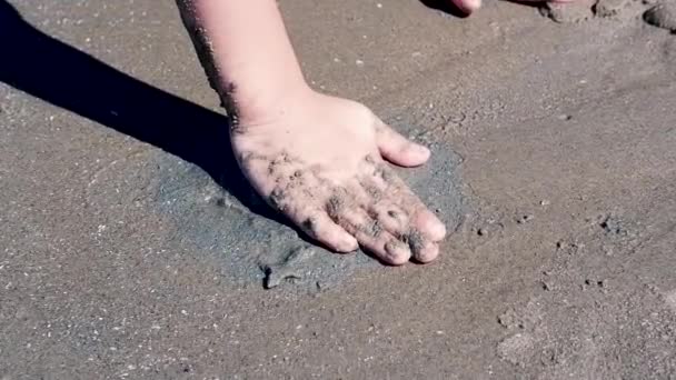 해변에서 일어나는 모래에 아이들의 — 비디오