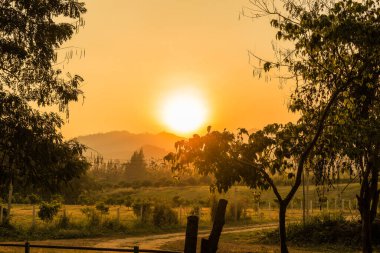 Güzel günbatımı gökyüzü ve orman manzarası alacakaranlıkta renk değiştirir..