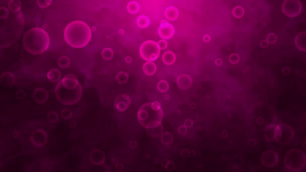 Φυσαλίδες Επιπλέουν Ροζ Κλίση Φόντο Ανακλώμενο Φως — Αρχείο Βίντεο