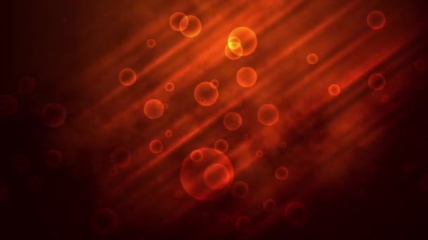 Blasen Schweben Auf Einem Roten Gradienten Hintergrund Mit Reflektiertem Licht — Stockvideo