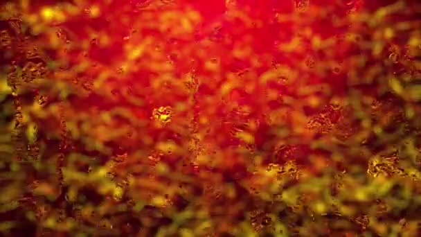 Краплі Дощу Падають Через Скло Анімований Червоний Фон — стокове відео