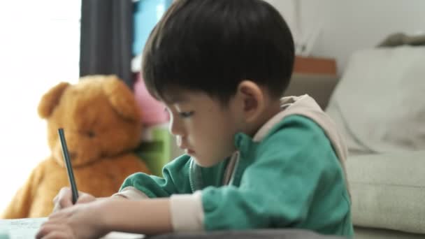 一个男孩正在桌子上的笔记本上画画 在课堂外学习 — 图库视频影像