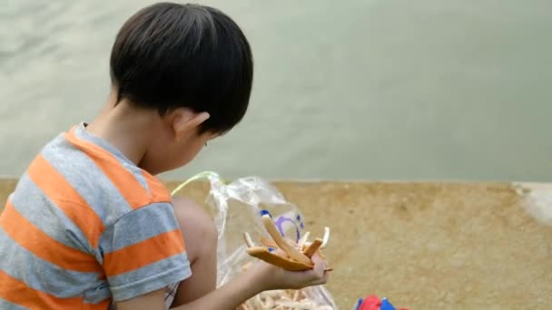 アジアの少年が池で魚を食べている 魚が食べるのを待っている — ストック動画