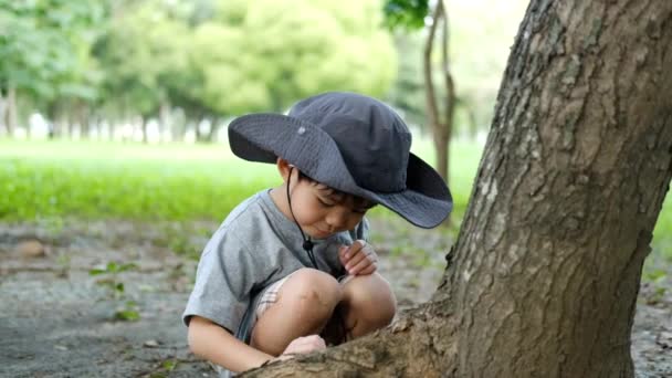 森の探検スーツに帽子をかぶったアジアの少年が木にしがみつくビートルで演じる — ストック動画