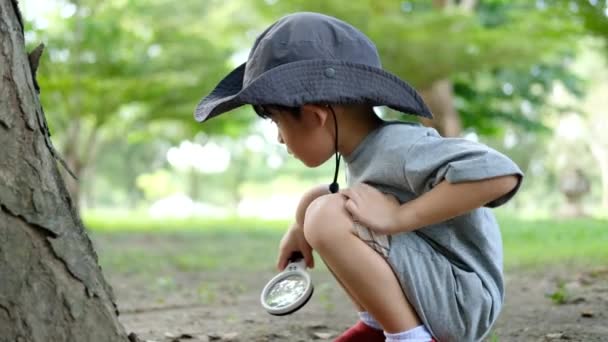 Asiatisk Pojke Bär Hatt Skog Prospektering Kostym Använd Ett Förstoringsglas — Stockvideo
