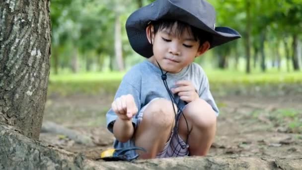 森の探検スーツで帽子をかぶっているアジアの少年 木の領域を調査するために壮大なガラスを使用します — ストック動画