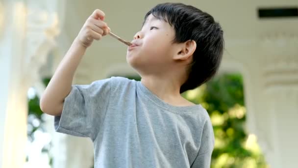 アジアの少年が公園で美味しいアイスクリームを食べている — ストック動画