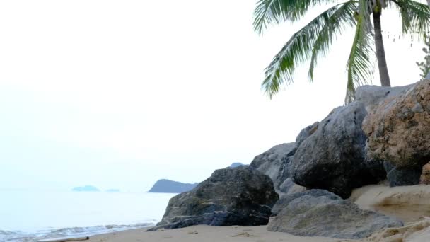 Красивий Пляж Океанські Хвилі Дме Пляж Великий Камінь Спереду — стокове відео