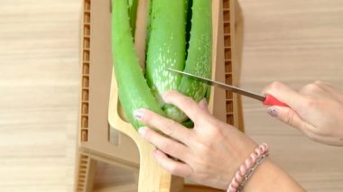 Kadının eli aloe vera soymak için bıçak kullanıyor..