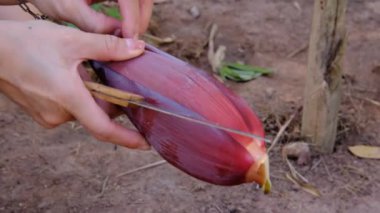 Bir kadının eli bir bıçak kullanarak muz çiçeği oyuyor. Yemek pişirmek için kullanılacak.