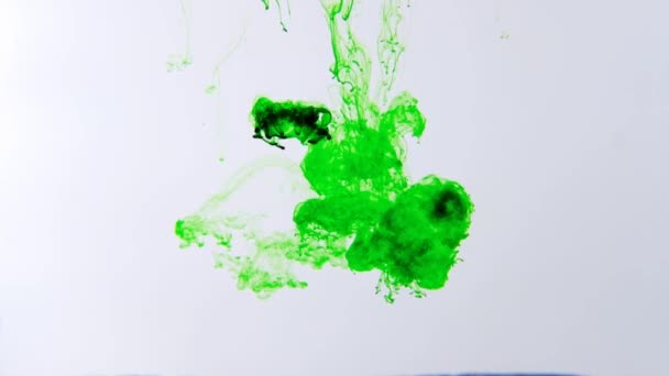 Zöld Tinta Terjed Vízben Fehér Alapon — Stock videók