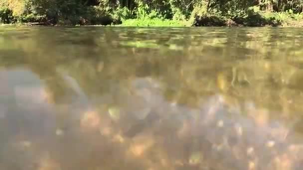 Nderwater Καταγραφή Ψαμμίτη Βράχους Κάτω Από Νερό Και Φως Λάμπει — Αρχείο Βίντεο