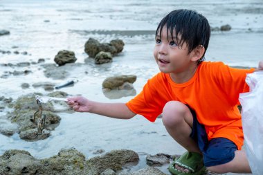 Küçük Asyalı çocuk deniz sahilinde yengeç yakalar.