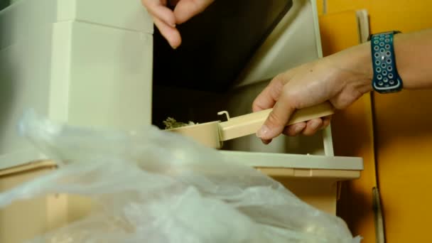 Χέρι Μιας Γυναίκας Μαζεύει Ούρα Γάτας Στο Κουτί Σκουπίδια — Αρχείο Βίντεο