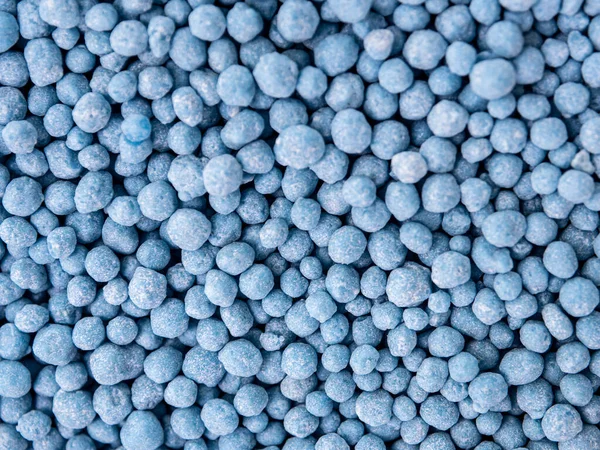 Μικροί Μπλε Στρογγυλοί Κόκκοι Είναι Χημικά Λιπάσματα Σχεδιασμένα Για Επιταχύνουν — Φωτογραφία Αρχείου