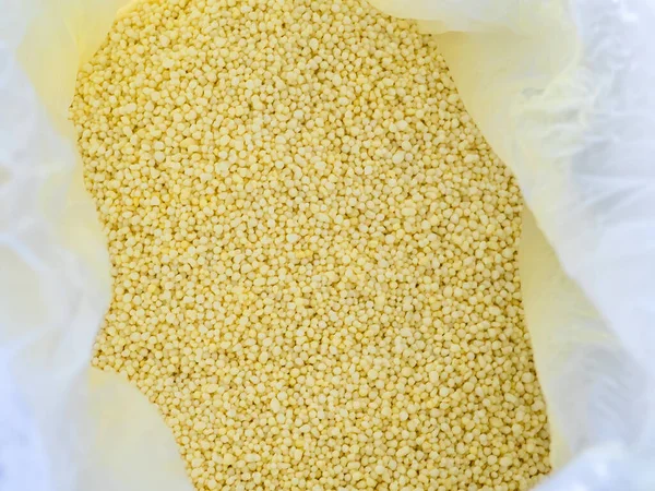 浅黄色的小圆颗粒是化肥 硝酸钙 免版税图库照片
