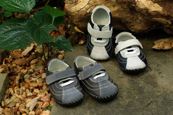 Дві Пари Дитячого Взуття Лежать Саду — стокове фото