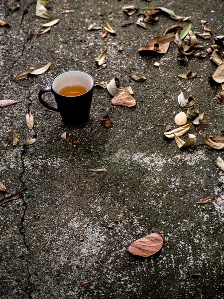 荒地には熱いお茶のカップが置かれ 落ち葉 — ストック写真
