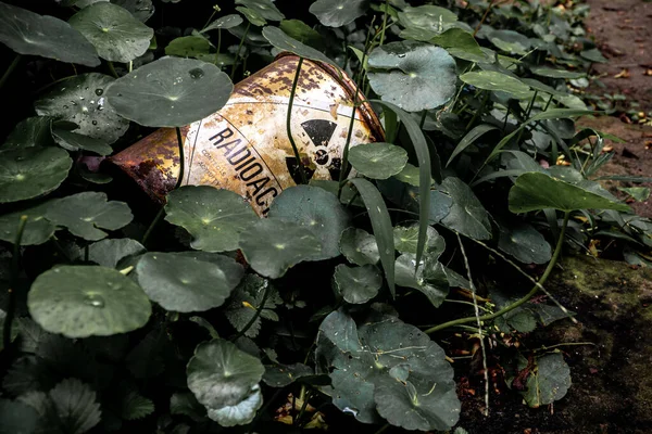 Industrial waste Radioactive material container left behind in the weeds