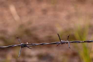 Paslı dikenli teller keskin ve saldırgandır.