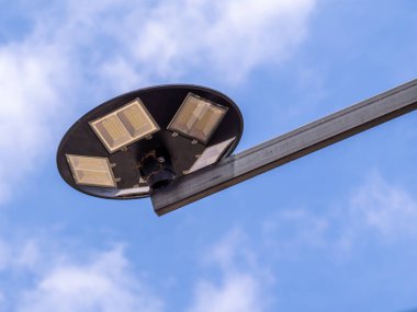 Böcek cesetleri LED lambanın altına yapışmış.