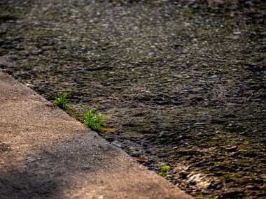 Beton zemindeki otlar, yabani otlar ve yosunlar kayaları ortaya çıkarmak için aşınır.