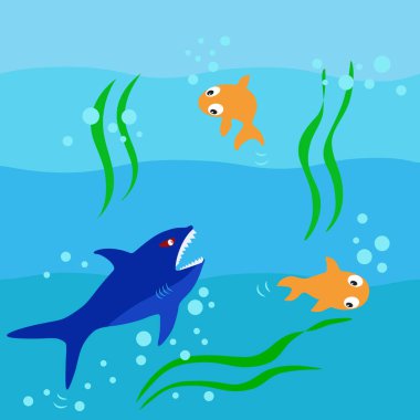 Köpekbalığı okyanusta balık avlıyor.