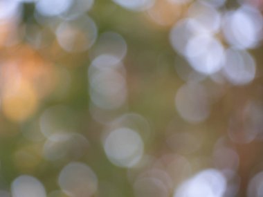 Işıklar ve yeşil, doğada kırmızı renk soyut bulanık arkaplan.