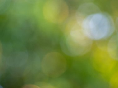 Işıklar ve yeşil, doğada sarı renk soyut bulanık arkaplan.