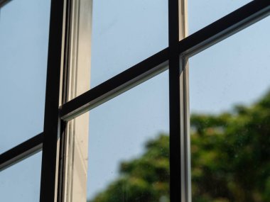 Pencere camı, pencereden dışarı bakıyor, büyük bir ağaç görüyor.