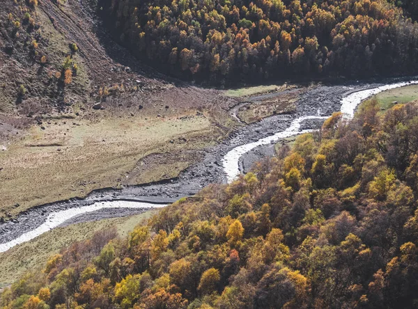 Valle Montaña Otoño Con Árboles Amarillentos Las Laderas Ruidoso Río — Foto de Stock