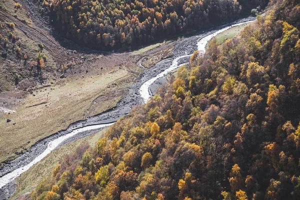 Valle Montaña Otoño Con Árboles Amarillentos Las Laderas Ruidoso Río — Foto de Stock