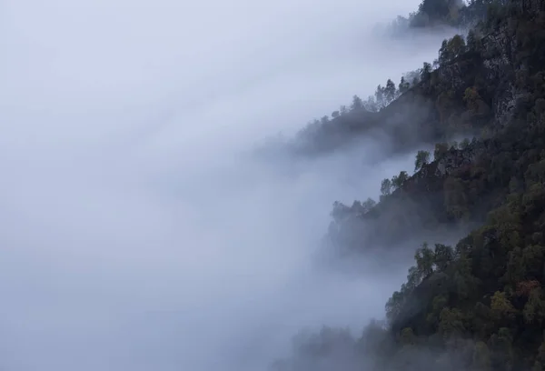 Niebla Las Montañas Nubes Las Gargantas Las Montañas Cubiertas Árboles — Foto de Stock