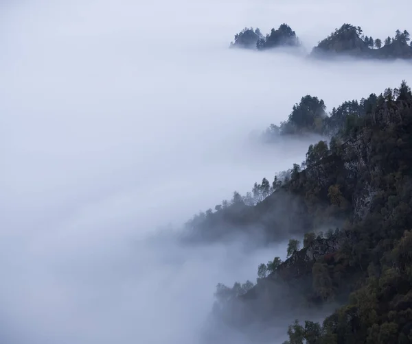 Fog in the mountains and clouds in the gorges of the mountains overgrown with trees, the view point above the clouds