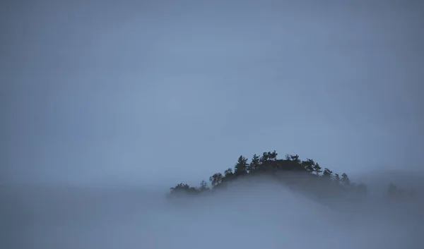 木々のある山の丘は濃い霧の上に立ち 山の中の早朝に雲 コーカサス山脈の曇り霧の朝 — ストック写真