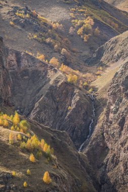 Nehirli kayalık yamaçlar ve sonbaharda sararmış ağaçlar, ekim ayında bir dağ vadisi.