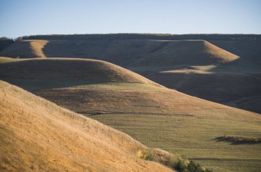 Dağ tepeleri ve yamaçlar bir vadi ve sonbaharda sarı çimenler, dağlarda güneşli havalarda