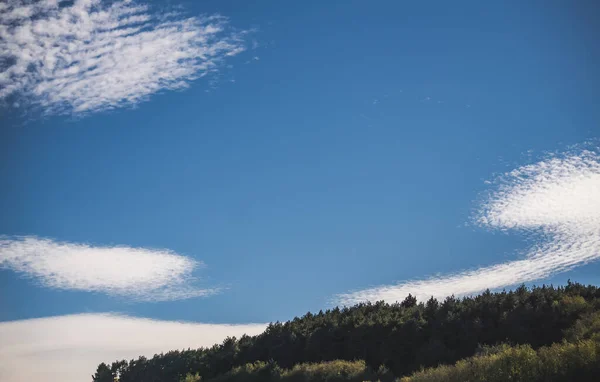 秋の青空の中のサーラス雲と針葉樹と落葉樹の森 晴れた曇りの日 — ストック写真