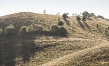 Sonbaharda çimenlerin sarardığı arka planda dağ yamacı ve yan ışıkta çalılar, dağlarda sonbahar akşamı