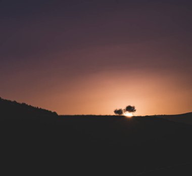 Güneş diski, çimenli bir tepenin arkasında, genç ağaçlarla birlikte batıyor. Arka plan için atmosferik bir günbatımı.