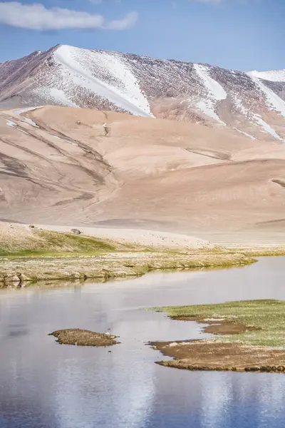 Yüksek dağ manzarası, dağlarda bir nehir bir dağ vadisinde yeşil çayırlar arasında dağların arka planına karşı akar, arka plan için Pamir Dağları 'ndaki manzara