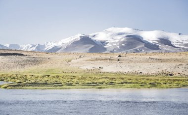 Yüksek dağ manzarası, dağlarda bir nehir bir dağ vadisinde yeşil çayırlar arasında dağların arka planına karşı akar, arka plan için Pamir Dağları 'ndaki manzara
