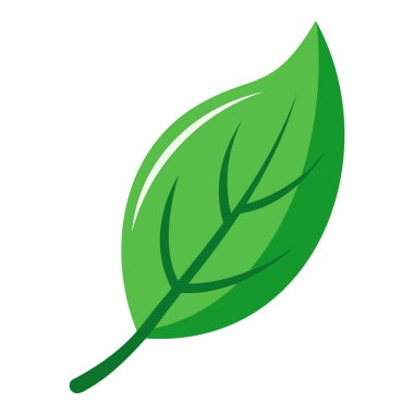 Çevresel yeşil yaprak çizimi, basit ve temiz tasarım