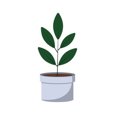 Yeşil yapraklı basit bir saksı bitkisinin çizimi, temiz beyaz arka planda gösteriliyor. Doğa ve ev dekorasyonu kavramı