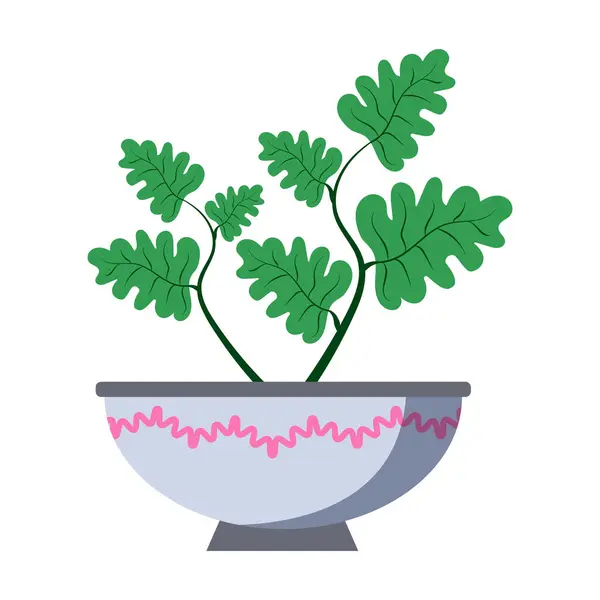 Dekoratif bir kasede yeşil yapraklı saksı bitkisi, beyaz arka planda. Ev dekorasyonu ve bahçe işleri kavramı