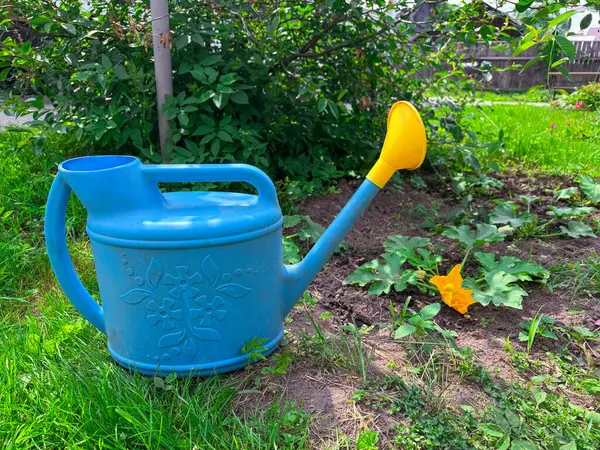 Su bidonu arka bahçedeki taze bahçenin yanında duruyor..