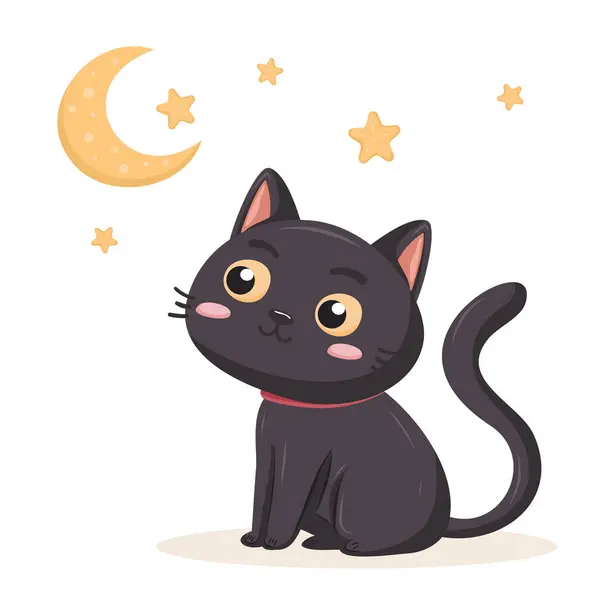 Ay 'a ve yıldızlara bakan sevimli kara kedi