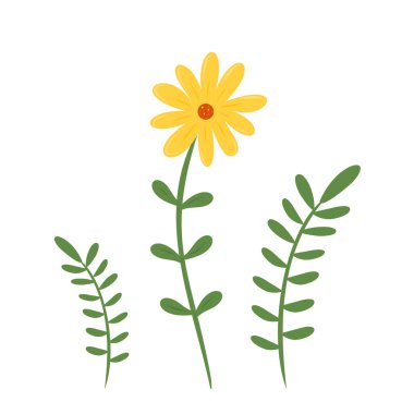 Beyaz arka planda yeşil yapraklı sarı çiçek. Bahar, doğa ve çiçek dekoru kavramı.