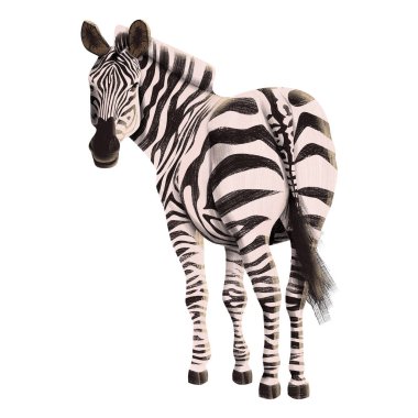 Zebra dörtte üçlük pozda, geriye bakıyor, ayrıntılı çizgili desenli, safari tasarımları için ideal, Afrika vahşi yaşam temaları, eğitim projeleri, doğa dekoru, ya da hayvan temalı dijital çizimler ve baskılar.